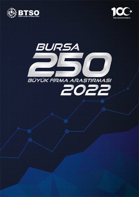 2022 Yılı İlk 250 Büyük Firma Araştırması